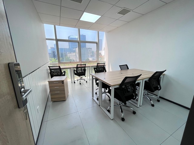 深圳园区红火蚁价格